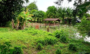 À vendre terrain à Bang Lamung, Chonburi