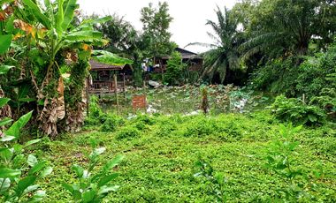 À vendre terrain à Bang Lamung, Chonburi