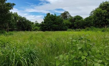ขาย ที่ดิน ใน เมืองนครราชสีมา, นครราชสีมา