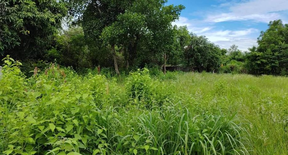 For sale land in Mueang Nakhon Ratchasima, Nakhon Ratchasima