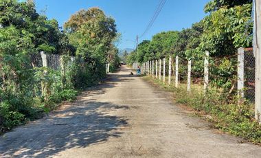 For sale land in Li, Lamphun