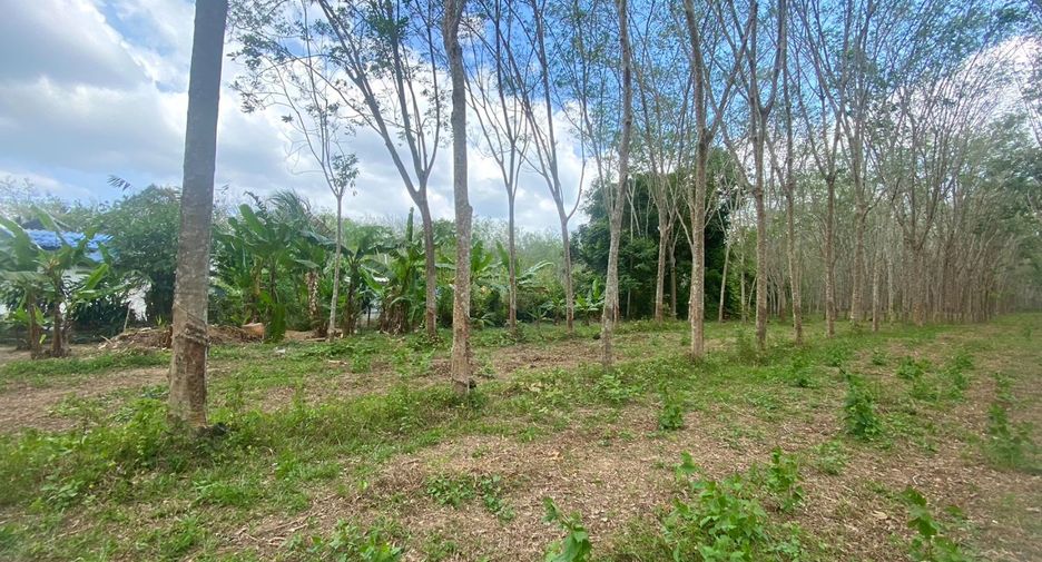 For sale land in Thalang, Phuket