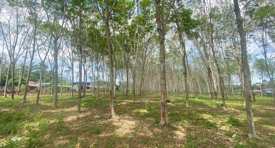 For sale land in Thalang, Phuket