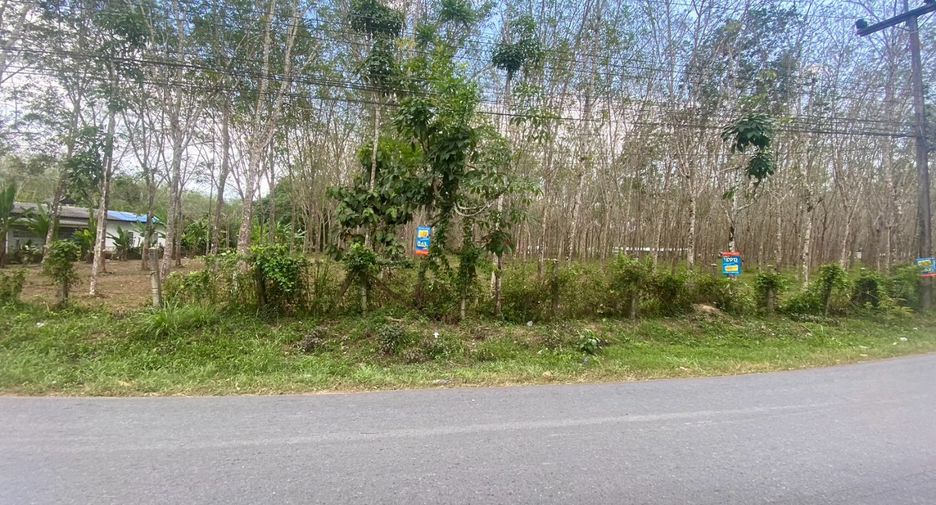 For sale land in Thalang, Phuket