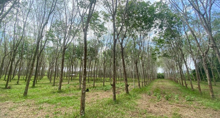 For sale land in Thalang, Phuket