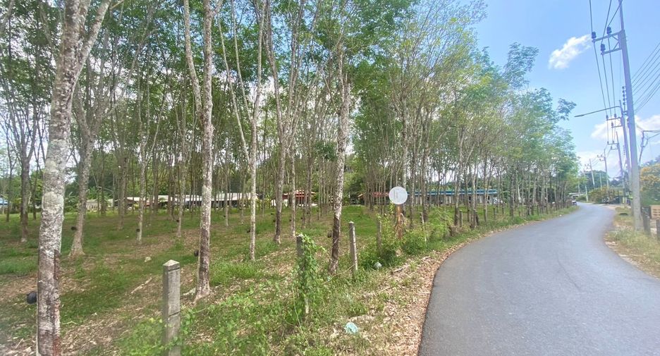 For sale land in Thalang, Phuket