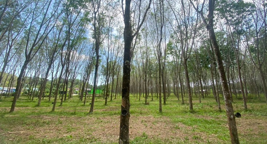 For sale land in Thalang, Phuket