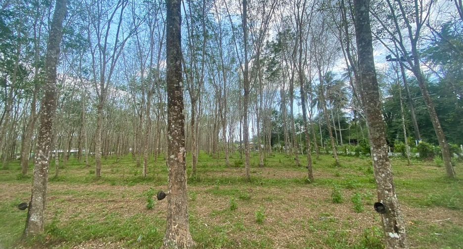 For sale land in Thalang, Phuket