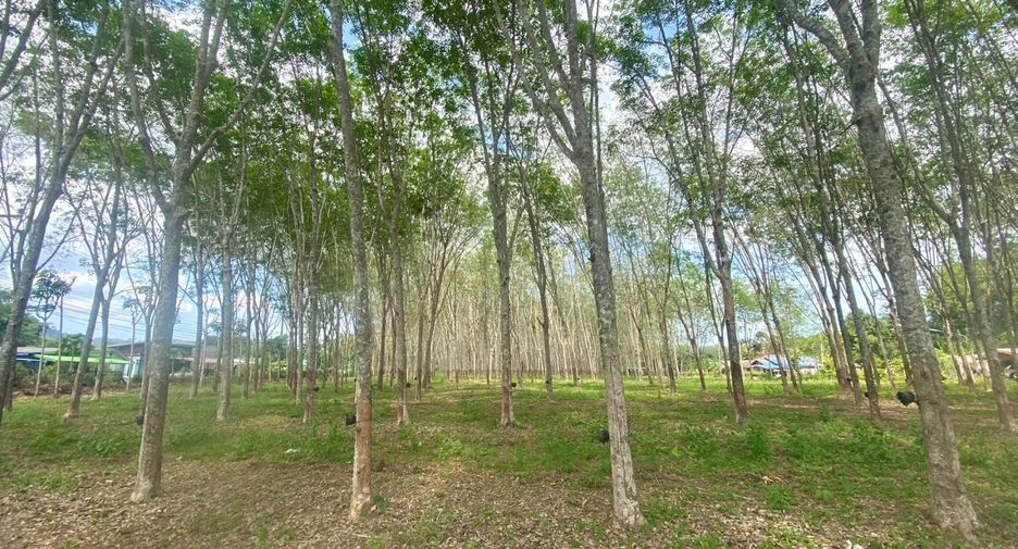 For sale land in Thalang, Phuket