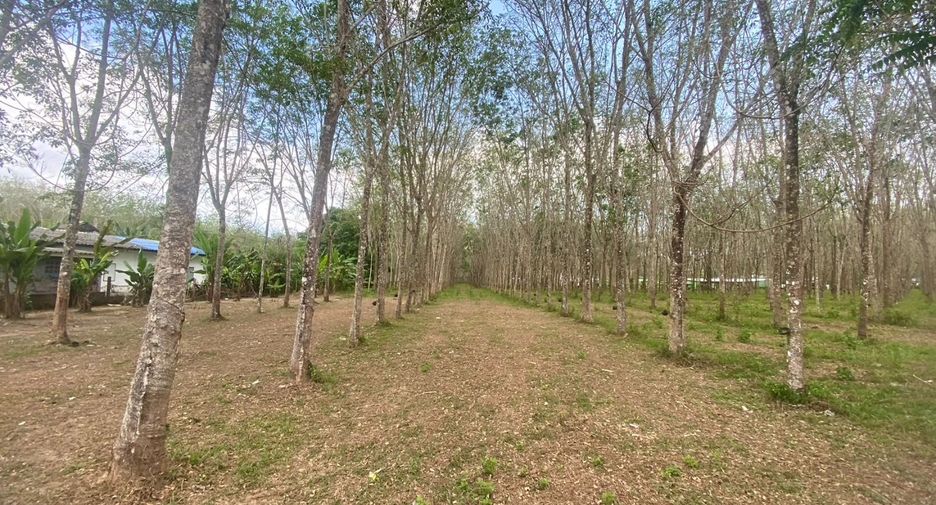 For sale land in Thalang, Phuket