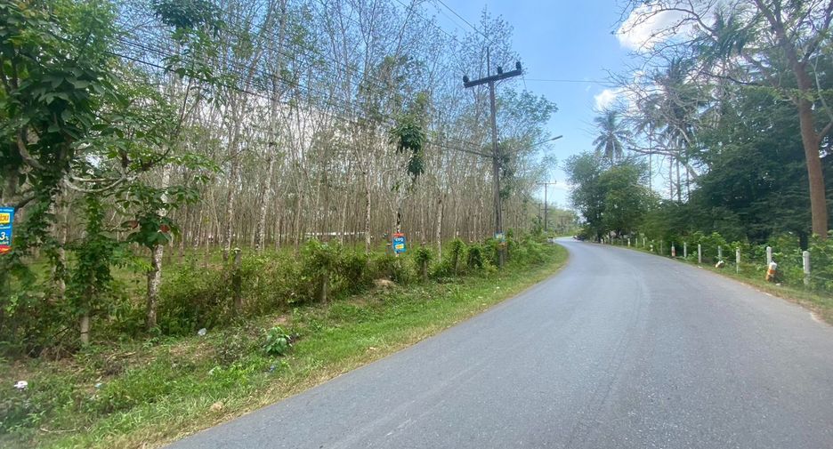 For sale land in Thalang, Phuket