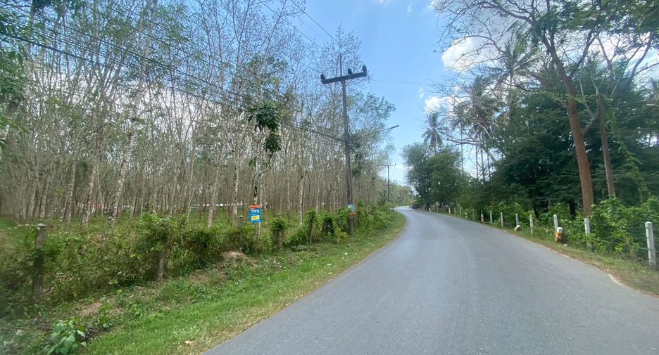 For sale land in Thalang, Phuket