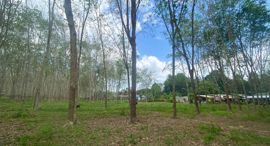 For sale land in Thalang, Phuket