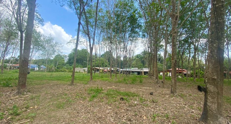 For sale land in Thalang, Phuket