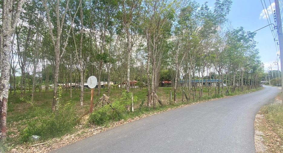 For sale land in Thalang, Phuket