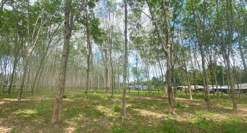 For sale land in Thalang, Phuket