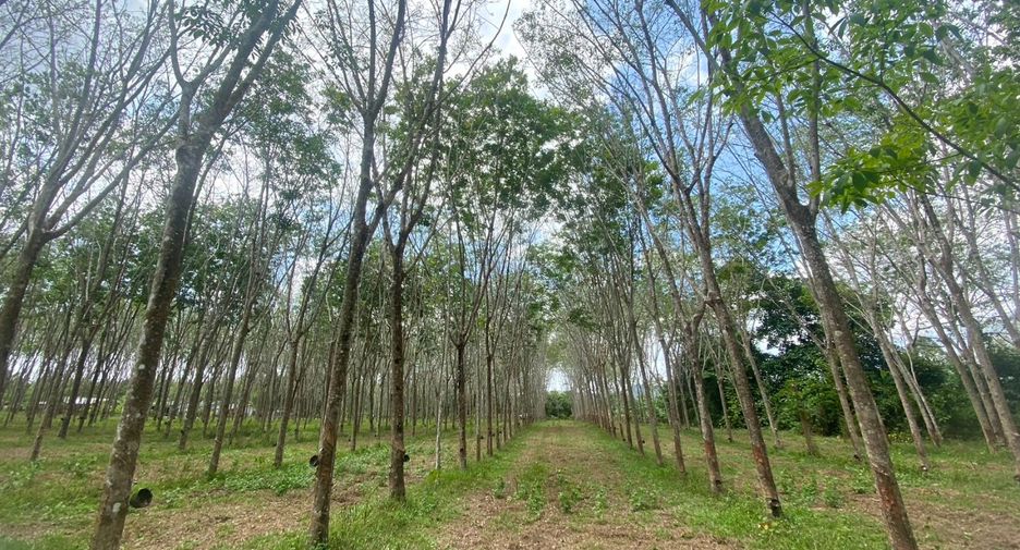 For sale land in Thalang, Phuket