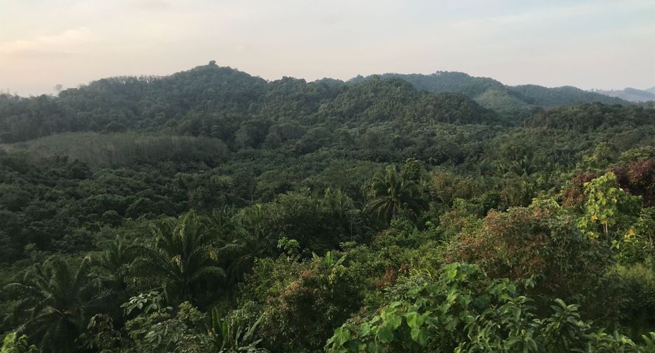 Terreno en venta en Takua Thung, Phang Nga