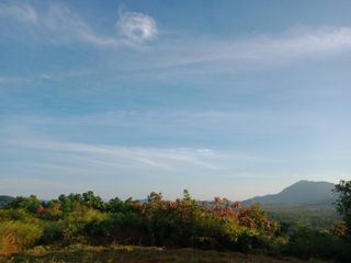 For sale land in Takua Thung, Phang Nga