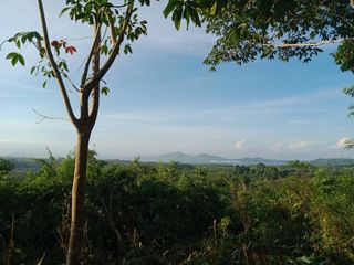 For sale land in Takua Thung, Phang Nga