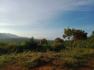 For sale land in Takua Thung, Phang Nga