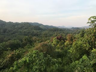 For sale land in Takua Thung, Phang Nga