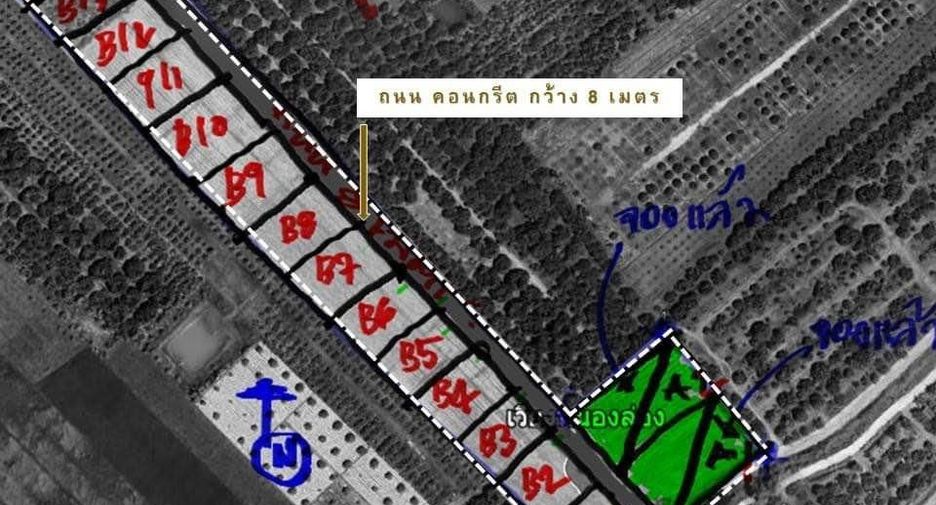 For sale land in Wiang Nong Long, Lamphun