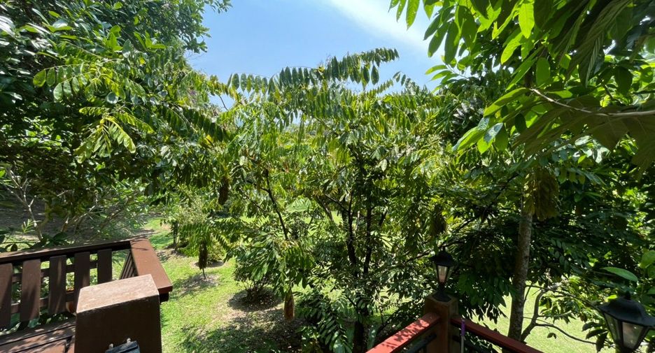 For rent 4 bedrooms house in Hang Dong, Chiang Mai
