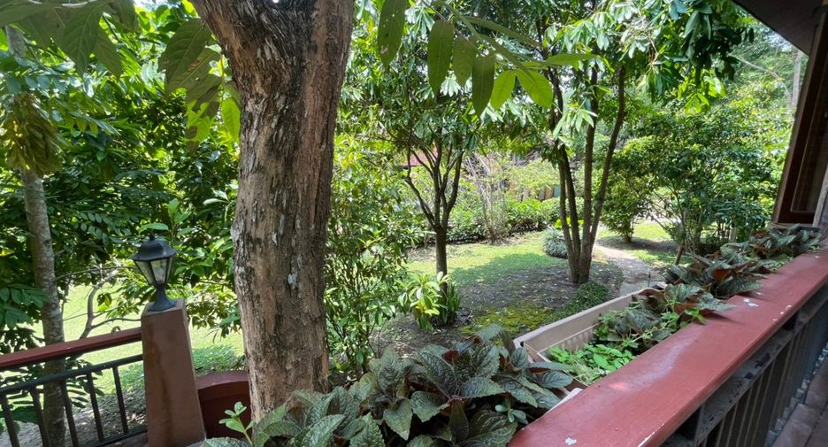 For rent 4 bedrooms house in Hang Dong, Chiang Mai