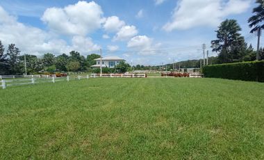 Terreno en venta en Pak Chong, Nakhon Ratchasima