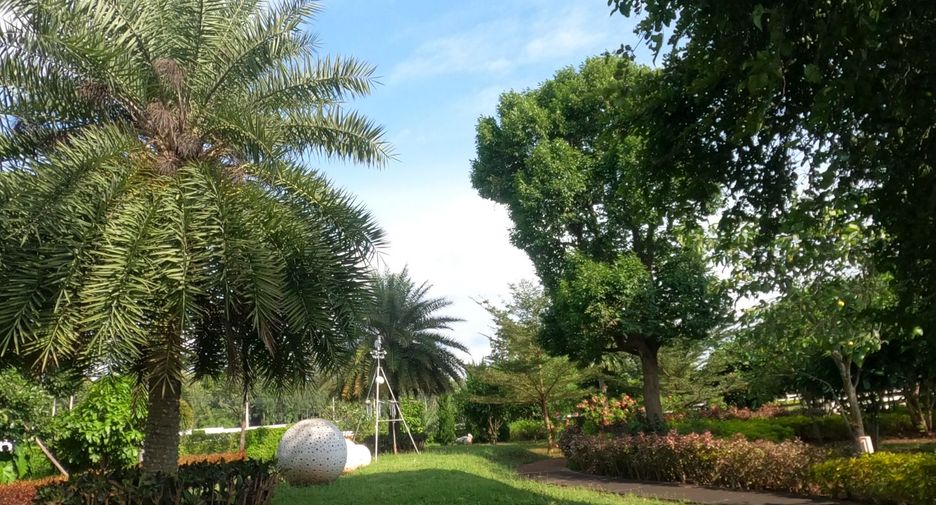 For sale land in Pak Chong, Nakhon Ratchasima