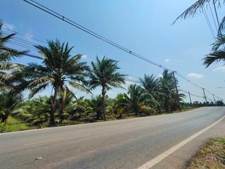 For sale land in Damnoen Saduak, Ratchaburi