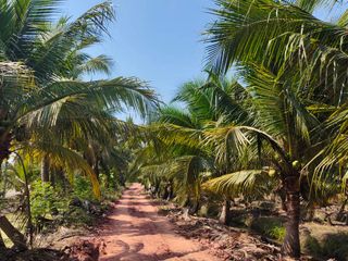 For sale land in Damnoen Saduak, Ratchaburi