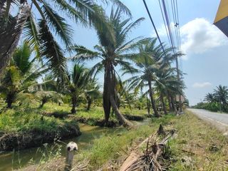 For sale land in Damnoen Saduak, Ratchaburi