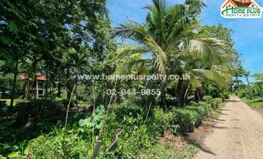 For sale land in Nong Suea, Pathum Thani