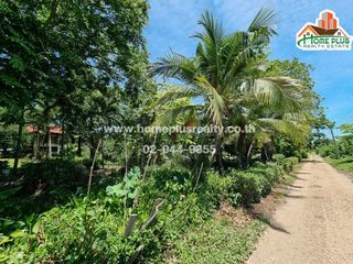 For sale land in Nong Suea, Pathum Thani