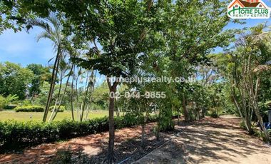 For sale land in Nong Suea, Pathum Thani