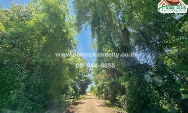 For sale land in Nong Suea, Pathum Thani