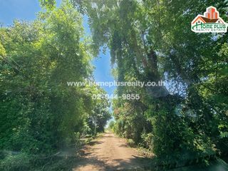 For sale land in Nong Suea, Pathum Thani