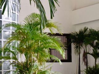 Reihenhaus zur Miete mit 5 Zimmer in Sathon, Bangkok