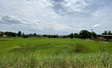 Grundstück zum Kauf in Nong Chang, Uthai Thani