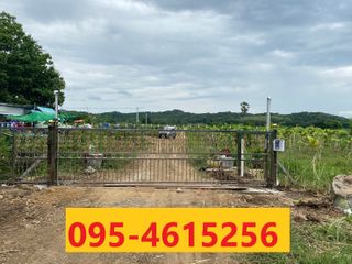 For sale studio land in Wichian Buri, Phetchabun