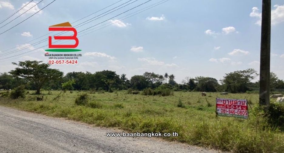 For sale land in Saraphi, Chiang Mai