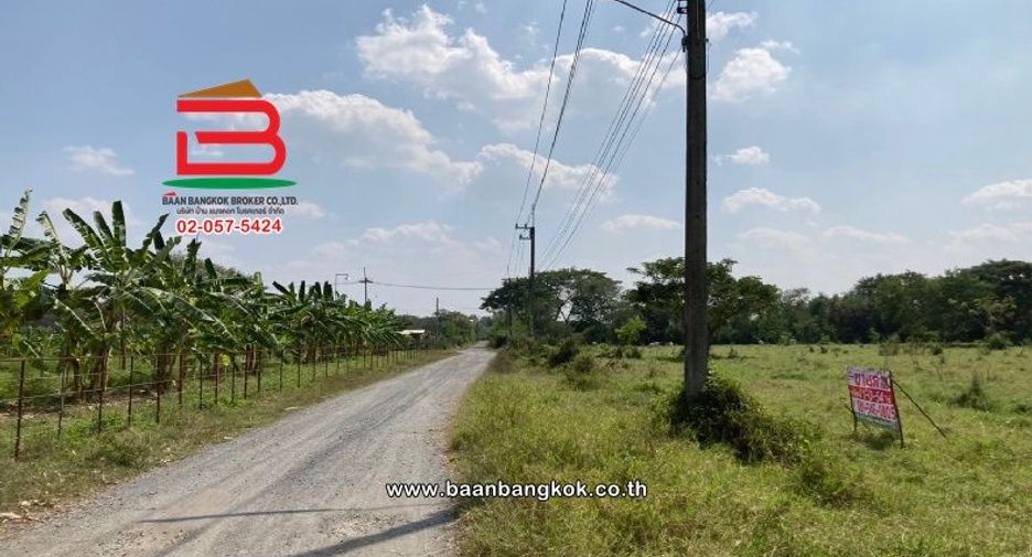 For sale land in Saraphi, Chiang Mai