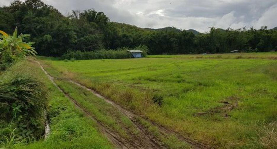 For sale land in Samoeng, Chiang Mai