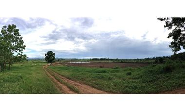 For sale land in Mae Ai, Chiang Mai