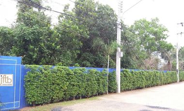 For sale land in Mueang Phuket, Phuket