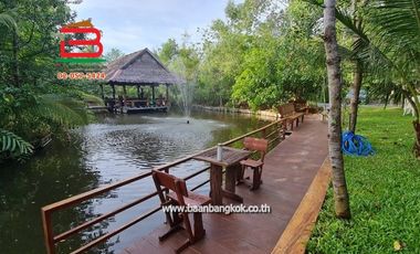 出售 土地 在 Mueang Samut Songkhram, Samut Songkhram