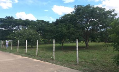 For sale land in San Sai, Chiang Mai