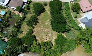 For sale land in San Sai, Chiang Mai